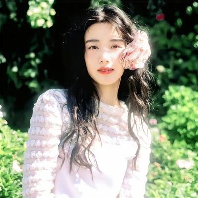 野生动物宝宝 第一季