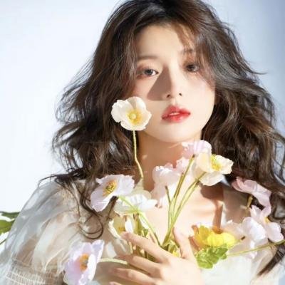 雪落时你向南飞