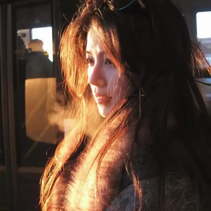 神犬小七第一季